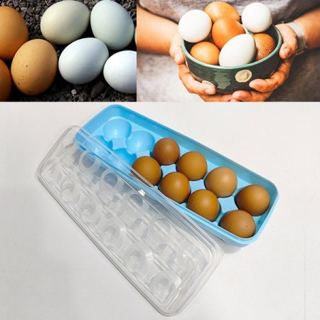 Eggs Storage box Dispenser Holder Eggs Container 12 Pcs