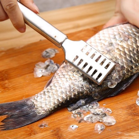 Fish Scale Remover Stainless Steel | Fast Fish Shaver
